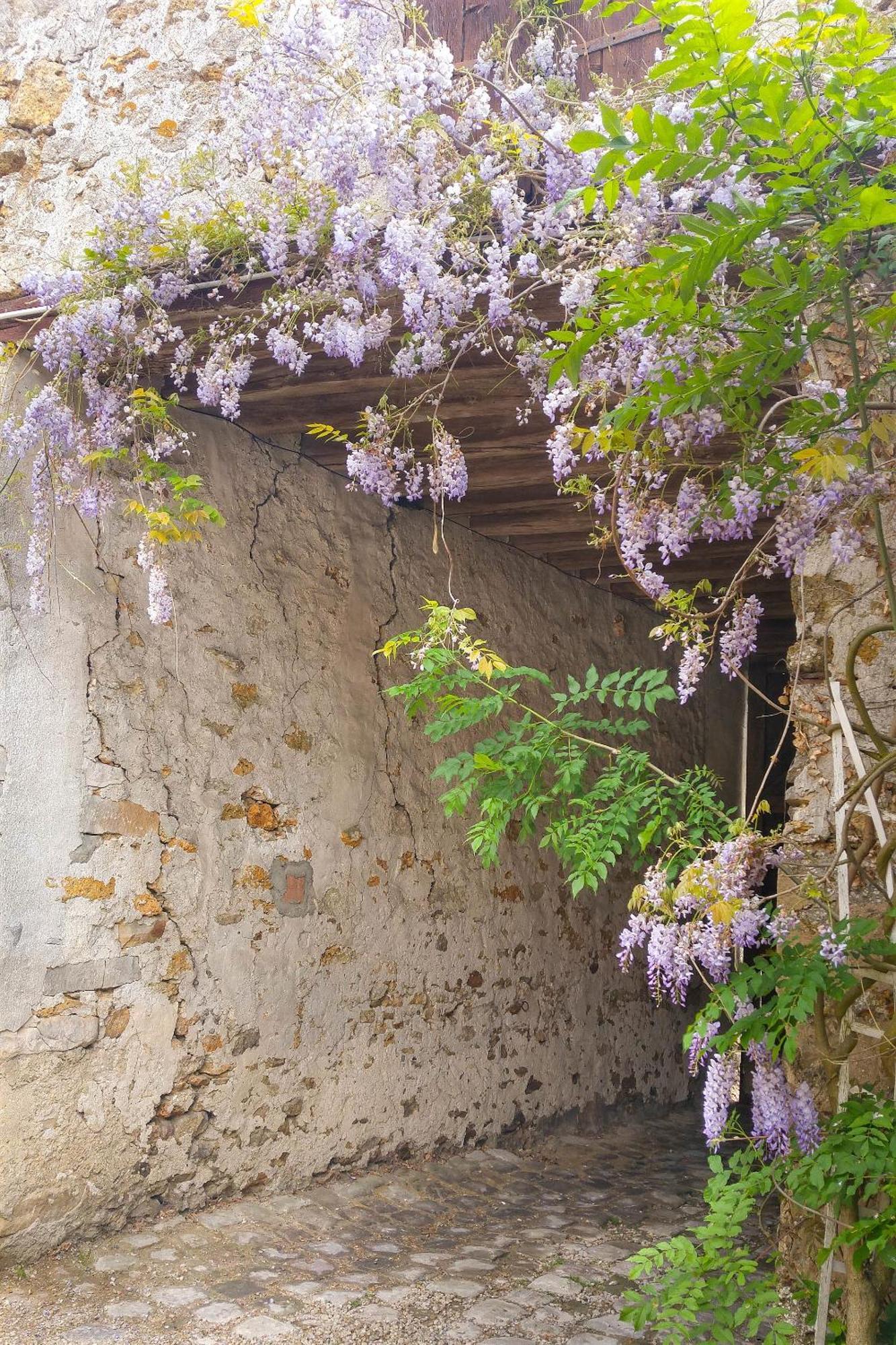 La Maison De Sophie, A Ложимо Екстериор снимка